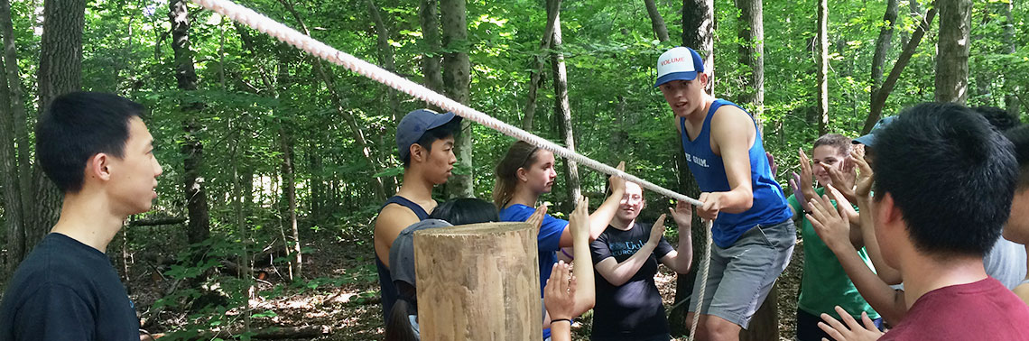 The Huang Fellows take on the low ropes course
