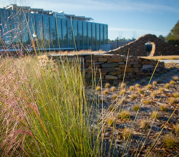 An exterior photo of Duke's Nicholas School for the Environment